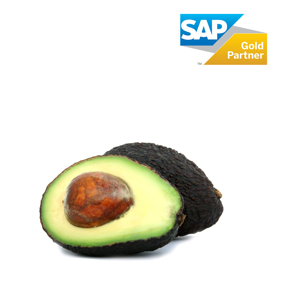 aguacate-banner